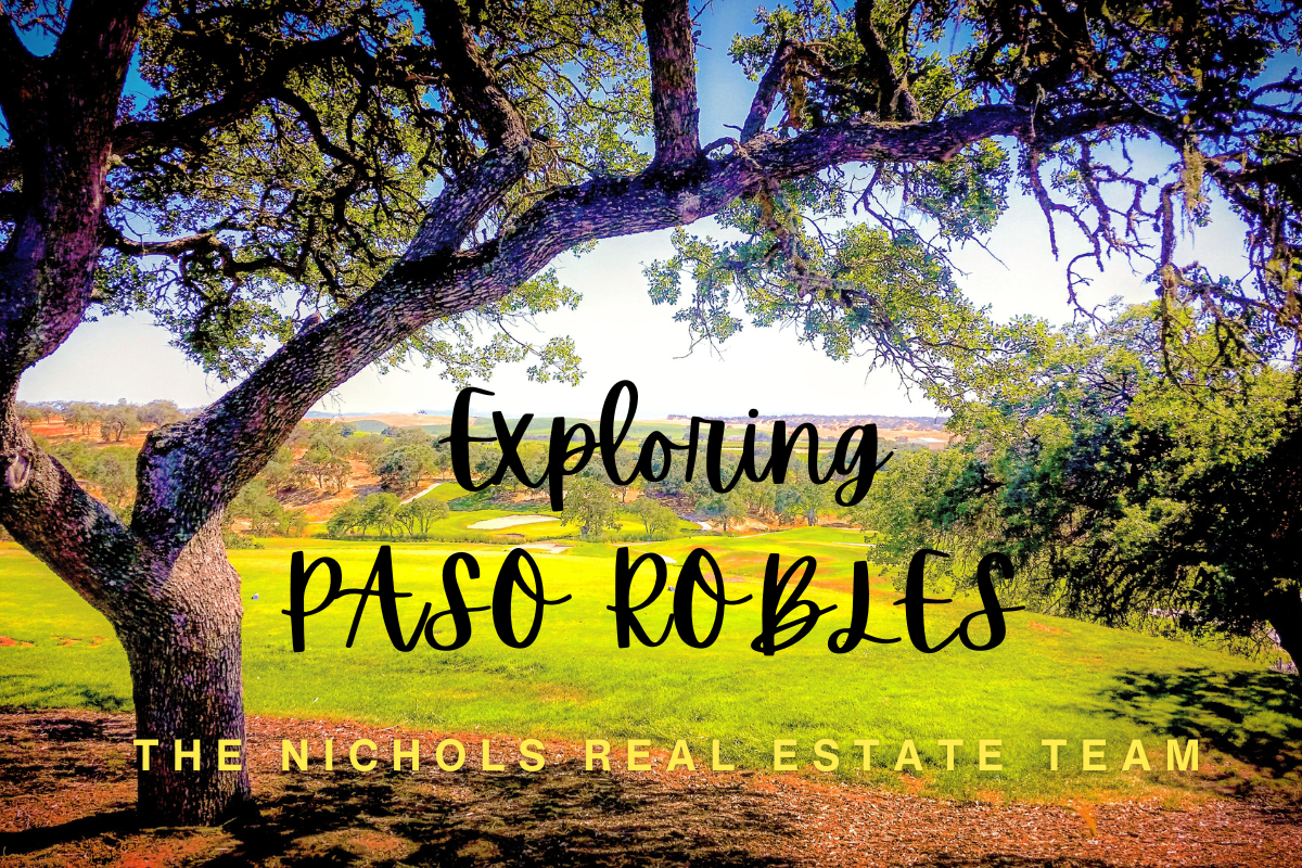 Paso Robles Real Estate blog art Paso Robles Real Estate blog art